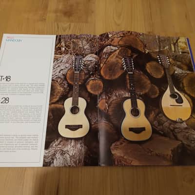 Vintage 1972 Martin Guitar Full Line, Full Color Catalog! Rare, Original Case Candy, Paperwork! image 5