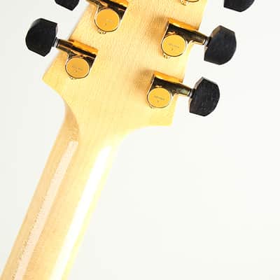 Kikuchi Guitars JF16 Imbuia Burl 2025 image 6