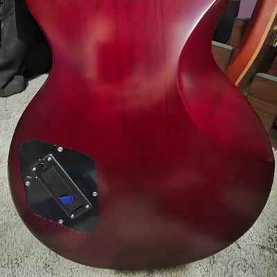 Epiphone Les Paul Prophecy 2024 - Present - Aged Bengal Tiger Burst image 2