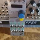 ALM/Busy Circuits ALM017 Pamela's NEW Workout Master Clock & Modulator Eurorack Synth Module 2017 - Present - Silver