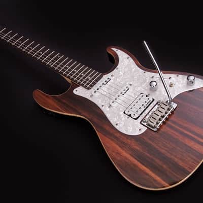 Michael Kelly MK65CSEPRB Custom Collect. 1965 Striped Ebony Top Maple Neck 6-String Electric Guitar image 1