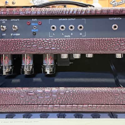 Amplified Nation Trem-Drive Deluxe 100W Head 2023 - Shiraz Croc image 4