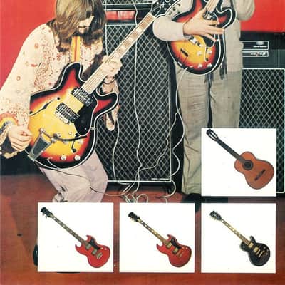 VOX VG4 1968 - Sunburst Semiacustic Bass 2 Pickups image 19