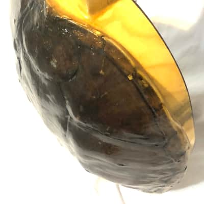 Turtle Shell Electric Guitar image 10