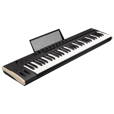KeyStage 61 Korg image 1