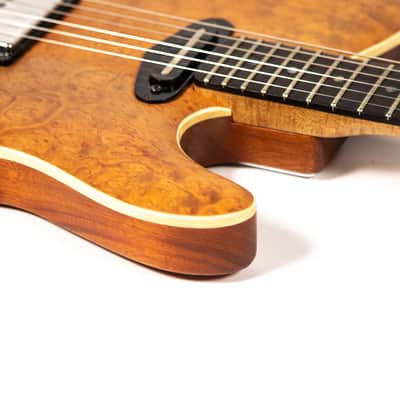 Hamburguitar Tele Style Guitar Owned by Mike Campbell image 12