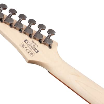 Ibanez RG Standard 6 String Electric Guitar - Caribbean Shoreline Flat (RG421PBCHF) image 3