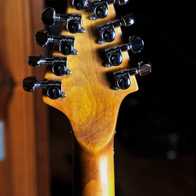 Postal Handmade Steam Punk 10 String Guitar Anitique Natural The Meter Jumps - Fender USA Pickups image 10