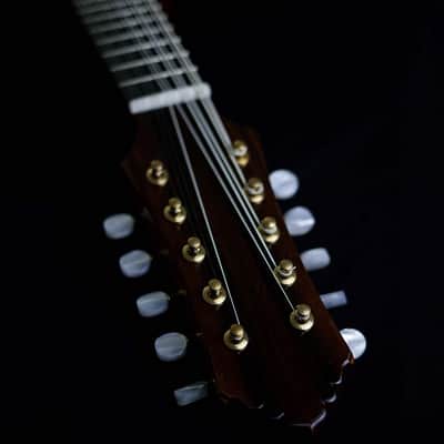 Antonio Huggler 10-String Mandolin | Brazil image 8