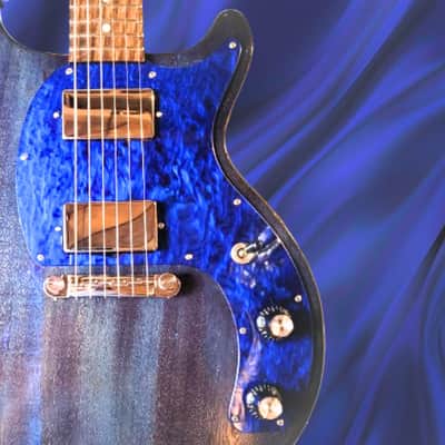 Gibson Les Paul Special Tribute DC 2019 - 2020 | Reverb