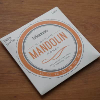 D'Addario EJM74 Monel Medium Mandolin Strings, 11-40 2018 - 2020 - Standard image 1