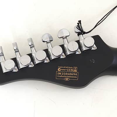 Schecter PT EX Baritone Guitar Dorian Gray B-Stock 0694 image 7
