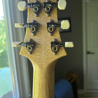 PRS Wood Library 10-top 2024 DGT Copperhead with Korina back and neck image 4