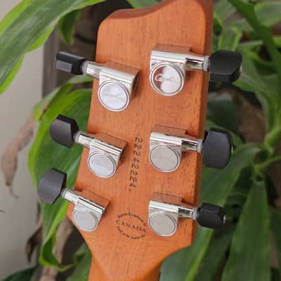 Godin xtSA and Boss GR-55 image 9