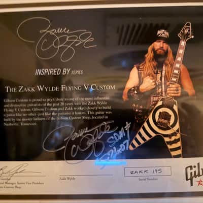 Immagine Gibson Zakk Wylde Custom Flying V 2007 - Bullseye - 17