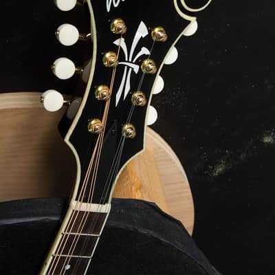 Washburn TCMF43SWK-LTD Timeless Collection Limited Edition F-Style Mandolin w/Hardshell Case image 6
