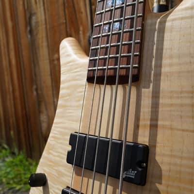 Spector USA NS-5XL - Curly/Flame Solid Wings Oil Finish Left-Handed 5-String Bass Guitar w/ Black Tolex Case (2023) image 10