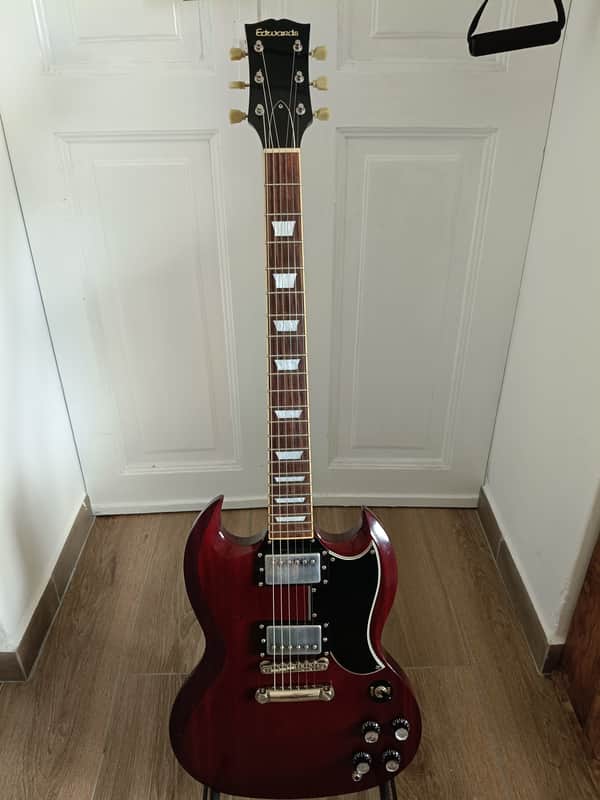 Edwards E-SG-120LT2
