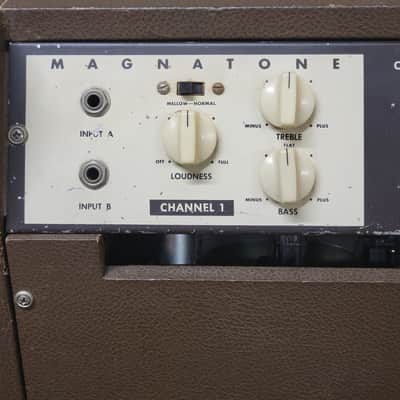 1959 Magnatone Custom 260A 35-Watt 2x12" Guitar Amp image 4
