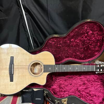 Taylor 312ce-N Acoustic Electric Guitar w Case image 1