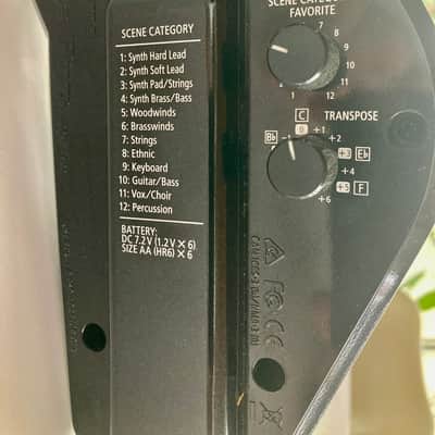 Roland AE-30 Aerophone Pro Digital Wind Instrument 2020 - Present - Silver image 14