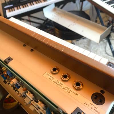 Moog Minimoog Model D Original ( 1979 - 1981 ) Serviced w case image 11