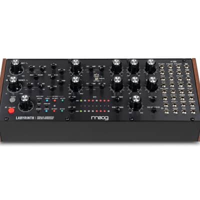 MOOG MUSIC Labyrinth image 1