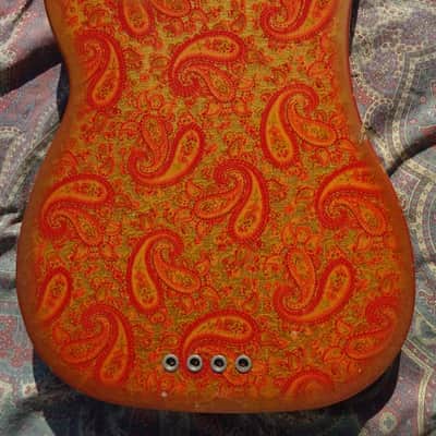 Fender Telecaster Bass 1968 Paisley image 8