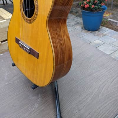 Vintage Giannini GN70  Classical/ Nylon  Electric  guitar image 4