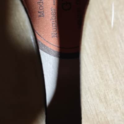 Epiphone Casino Made in China with Gibson Usa electronics upgrade image 16