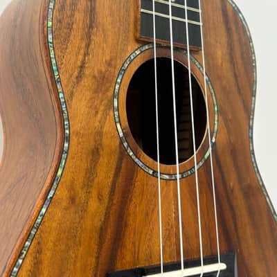 Morgan Concert Ukelele - UK C 500 N image 3