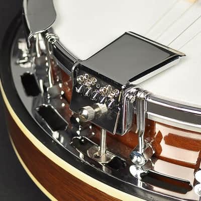 Richwood RMB-604 Tenor Banjo image 6