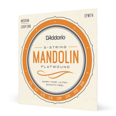 D'Addario EFW74 Flatwound Stainless Steel 11-36 Mandolin Strings image 3