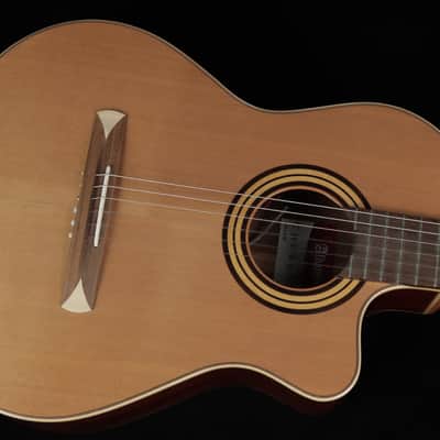 Alhambra Crossover CS-1 CW E8 (#LdM) image 4
