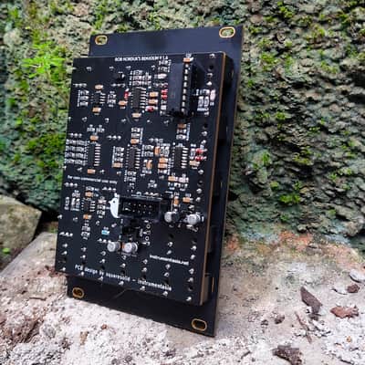 Squaresolid - Instrumentasia Benjolin - Gorga 2024 - Matte Black with Immersion gold(ENIG) platting image 7