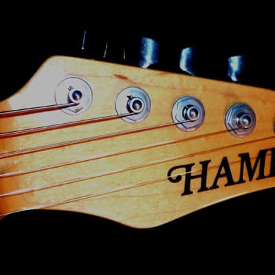 Hamer T 51 1991 Custom Leather. Only 1. Built For Bill Kaman, II. Very Rare. Collectible.  Boots. image 11