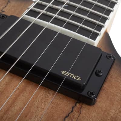 Wylde Audio Wrathmaker Spalted Maple with Black Burst image 7