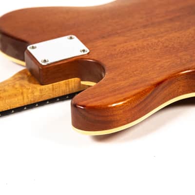 Hamburguitar Tele Style Guitar Owned by Mike Campbell image 20