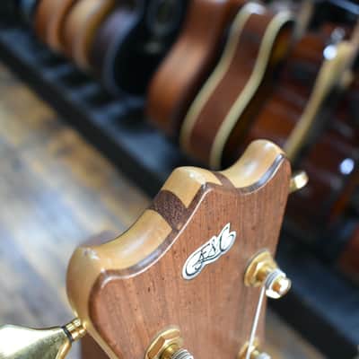 Alembic/Ellio Martina Brown Bass 1981 w/Ellio Martina Neck, Kahler Bridge, Hard Case image 9