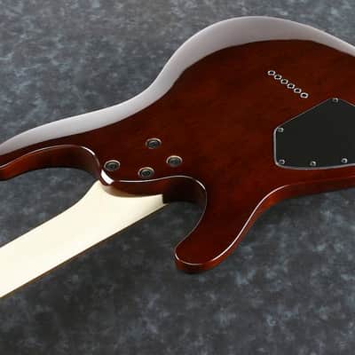 IBANEZ S621QM-DEB Saber E-Gitarre dragon eye burst image 4