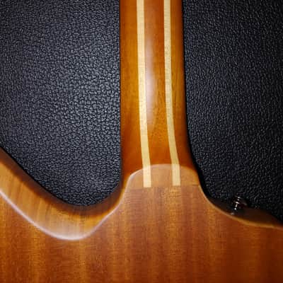 2009 ESP LTD FX-401SM Spalted Maple Natural image 12