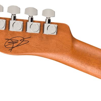 Fender FINNEAS Signature Acoustasonic Player Telecaster with Bag, Rosewood Fingerboard - Cappuccino Fade image 2