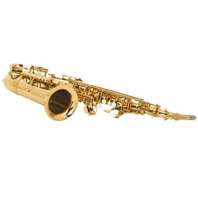 Eb Alto Saxophone Outfit Gold Lacquered Brass w/ Hard Case, Mouthpiece, Reed & Gloves image 3