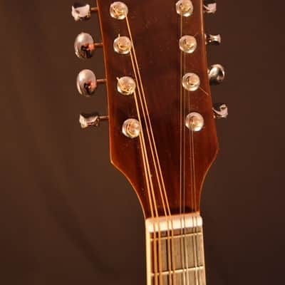 Ventura Mandolin – Excellent Condition! image 2