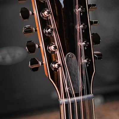 Taylor Next Generation 854ce 12-String Grand Auditorium Acoustic/Electric Guitar with Hardshell Case image 5