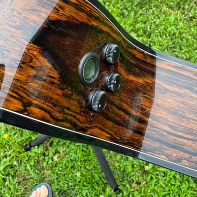 Cort Gold OC6-BO | All-Solid Acoustic  / Electric w/Case image 3