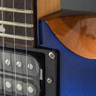 Paul Reed Smith SE Custom 24 '22 image 2