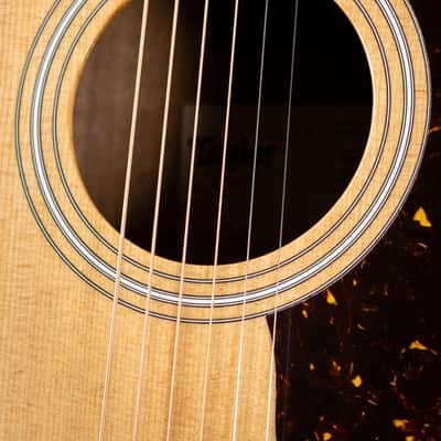Taylor 214ce Grand Auditorium Acoustic/Electric Guitar with Gig Bag image 10
