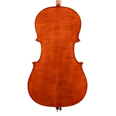 Goffriller Cello 4/4 from One Piece Back - Hand-Made in Romania 2025 #99 image 2