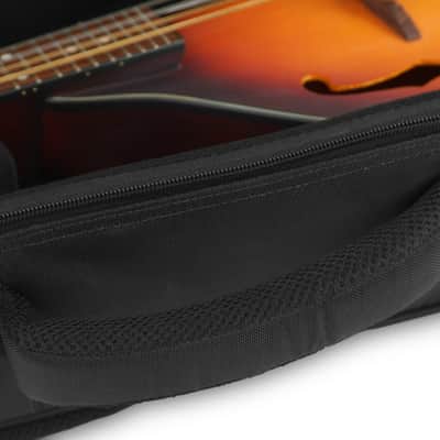 Access Bags and Cases Stage Three Mandolin Bag image 5